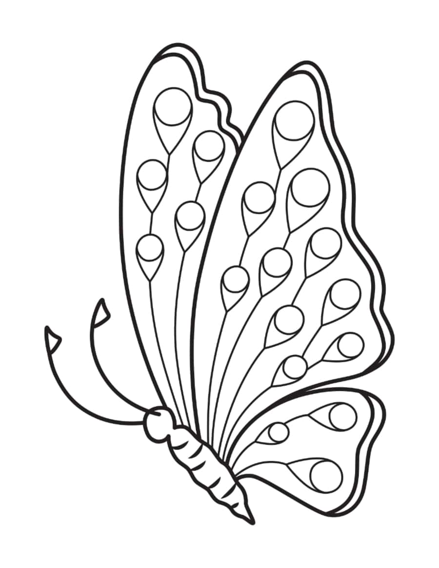 Butterfly Eyes Side View Tracing Shape Pdf Free Vectors